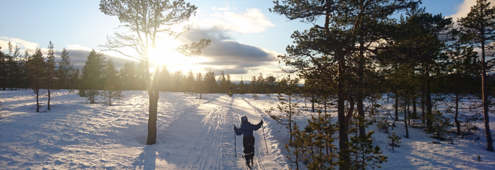 Sørfjellrennet 2019